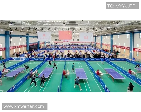 西安乒乓球队实力分析与发展潜力的全面探讨