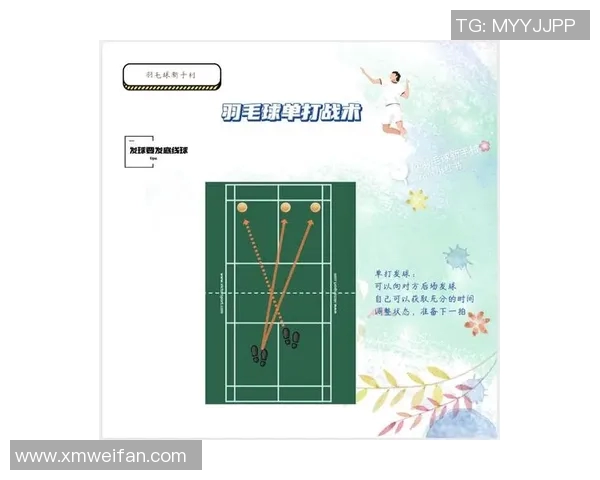 羽毛球战术解析成都羽毛球队灵活转换体系的深度剖析与应用