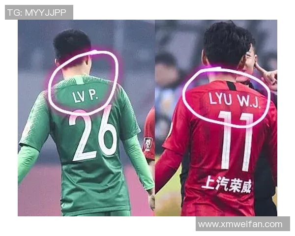 深圳羽毛球队挑战赛特别报道：从默默无闻到巅峰之路的奋斗与荣耀