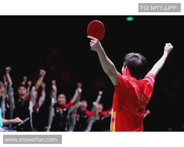 南京乒乓球队在世界杯预选赛中的拼搏历程与荣耀追寻